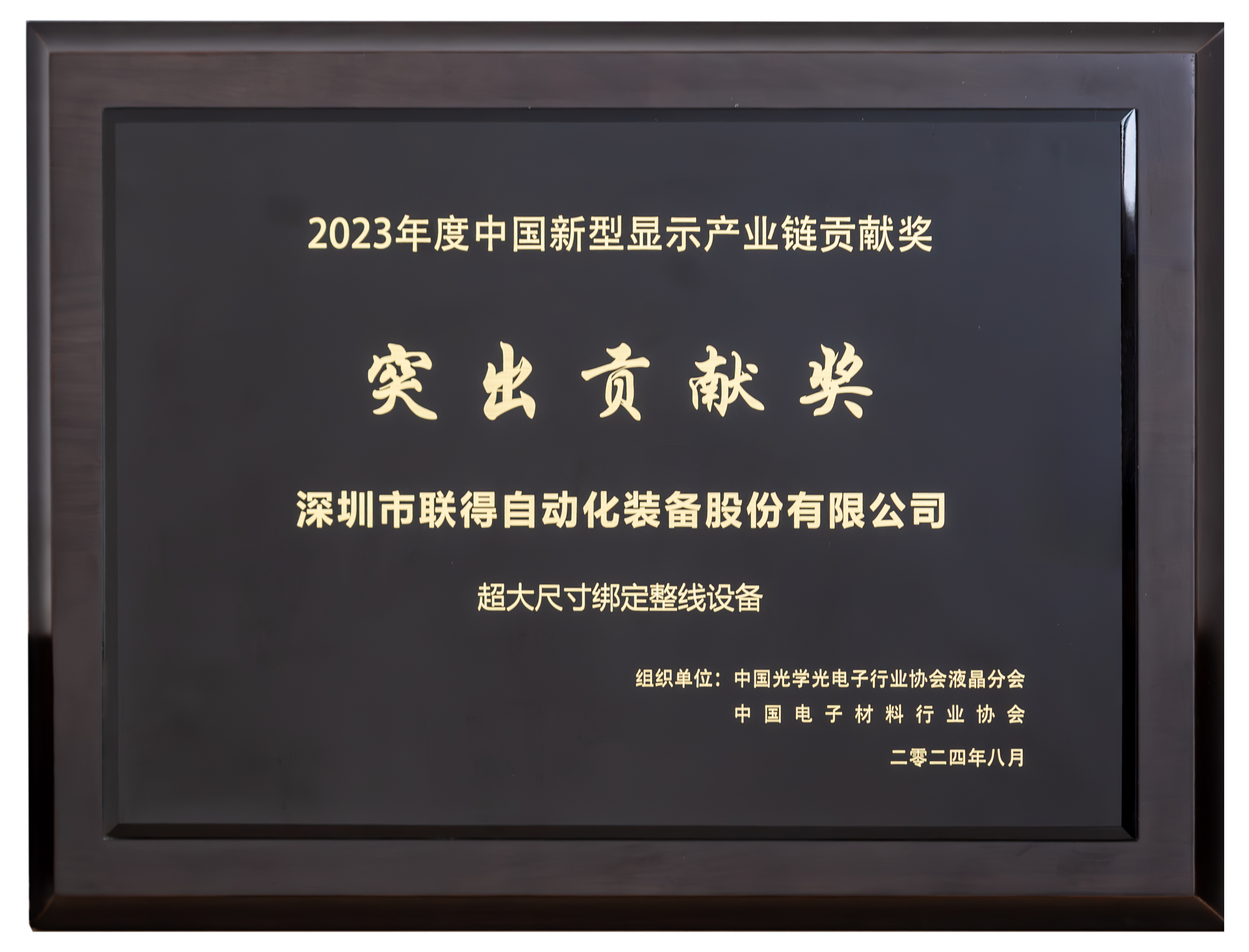中國新型顯示產(chǎn)業(yè)鏈貢獻(xiàn)獎-突出貢獻(xiàn)獎.png